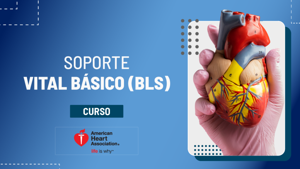 Soporte Vital Básico (BLS)